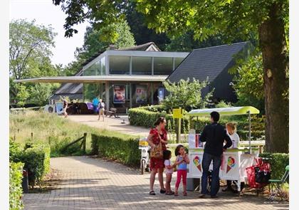 Gelderland: bloeiende heide in de Veluwezoom