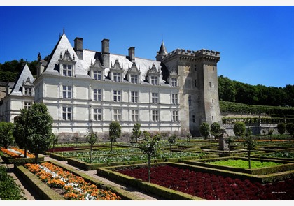 Chateau de Villandry: schitterende tuinen