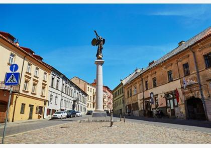 Vilnius bezoeken? Onze top 15 bezienswaardigheden