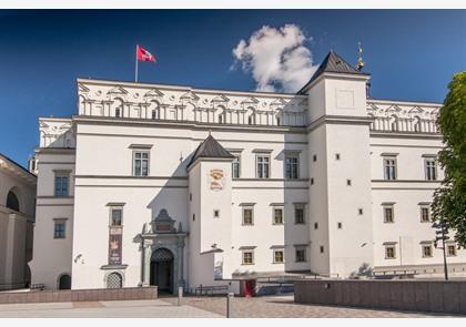 Vilnius bezoeken? Onze top 15 bezienswaardigheden