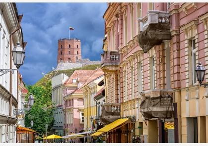 Vilnius bezoeken? Onze top 15 bezienswaardigheden