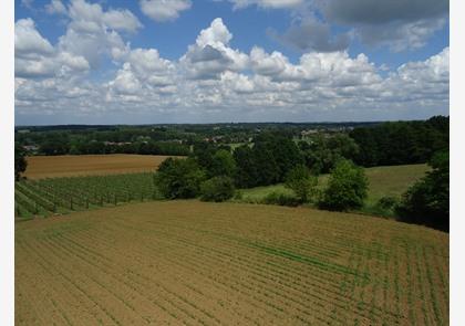 Hageland: Vlooybergtoren doet je 'zweven ' 