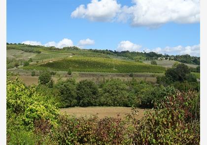 Volterra, vol bezienswaardigheden van oude culturen