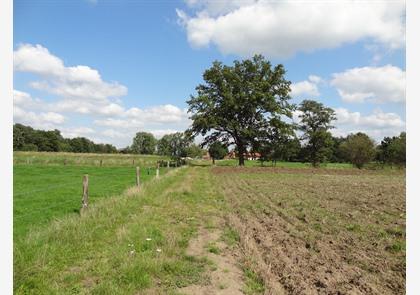 Bezienswaardigheden in Vorselaar: de K-gemeente