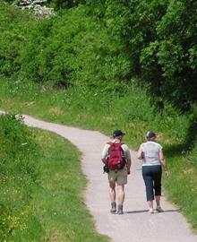 Wandelgids Vlaanderen deel 1