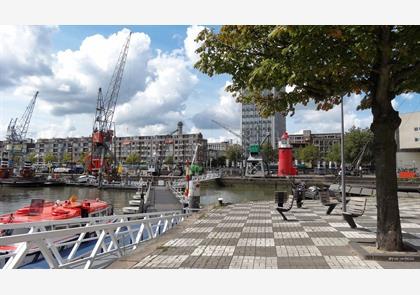 Stadswandeling Rotterdam, een dagvullende wandelroute