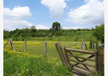 Haspengouw: groene wandelroutes