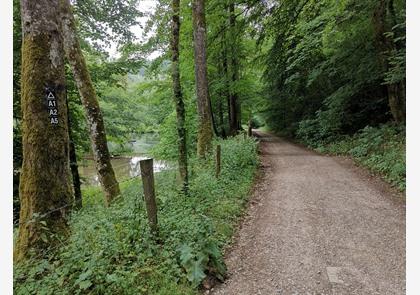 Sauerland: wandelen en fietsen