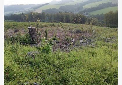 Sauerland: wandelen en fietsen