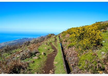 West-Madeira: Tips voor uitstapjes in het westen van Madeira