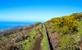 West-Madeira: Tips voor uitstapjes in het westen van Madeira