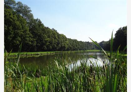 Ontdek de Beeltjens en de Krawekken in Westerlo en Tongerlo