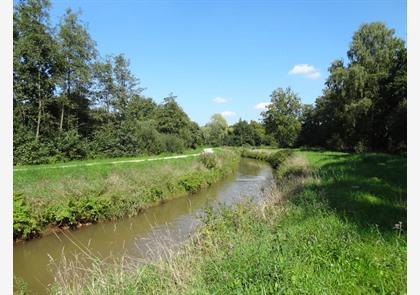 Ontdek de Beeltjens en de Krawekken in Westerlo en Tongerlo