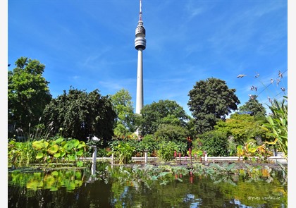 Dortmund: Westfalenpark het groene hart