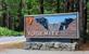 Yosemite National Park bezoeken? Alle info, trails en dagtochten