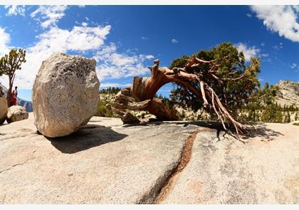 Yosemite National Park bezoeken? Alle info, trails en dagtochten