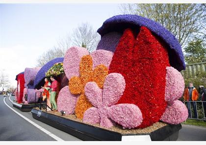 Zuid-Holland: bloembollen, bloemencorso en de zee