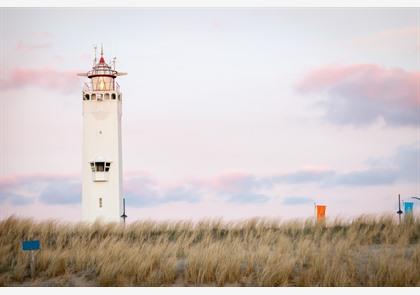 Zuid-Holland: bloembollen, bloemencorso en de zee