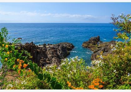 Zuid-Madeira: breng bezoek aan de Jardins do Palheiro