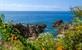 Zuid-Madeira: breng bezoek aan de Jardins do Palheiro