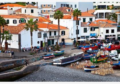 Zuid-Madeira: breng bezoek aan de Jardins do Palheiro