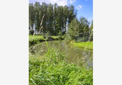 Zwalmstreek: bezoek deze 12 dorpen langs de Zwalm en omgeving