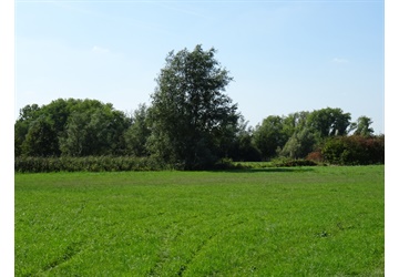 Latemse Meersen, nieuw natuurgebied