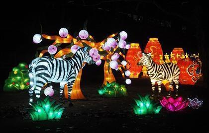 China Light ZOO Antwerpen 