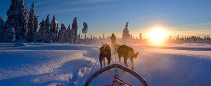 De mooiste Lapland reizen