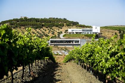 Wijn en kunst op een Portugese wijnboerderij
