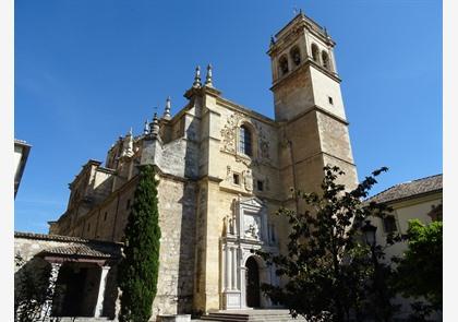 Andalusië 'charmehotelletjes met Nederlandstalige uitbaters' 9-daagse fly&drive