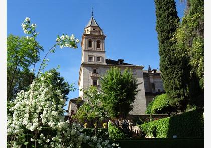 Andalusië 'charmehotelletjes met Nederlandstalige uitbaters' 9-daagse fly&drive