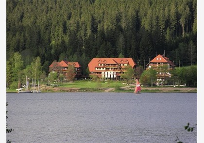 Zwarte Woud 4 dagen 5* wellnesshotel va. € 589 pp
