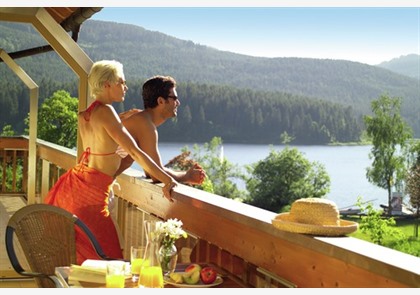 Zwarte Woud 4 dagen 5* wellnesshotel va. € 589 pp