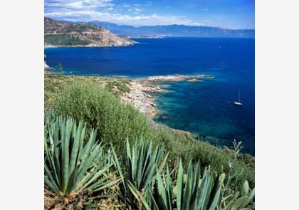 Wondermooi Corsica, 13-daagse rondreis