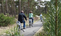 Gelderland fietsvakantie 5 dagen regio Veluwe