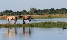 4 daagse Fietsrondreis Baai van de Somme