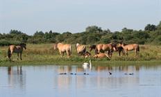 Groepsreis fietsvakantie Baai van de Somme