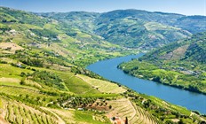 8-daagse rondreis Dourovallei en Noord-Portugal