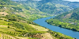 Dourovallei en Noord-Portugal, fly&drive rondreis 8-daagse