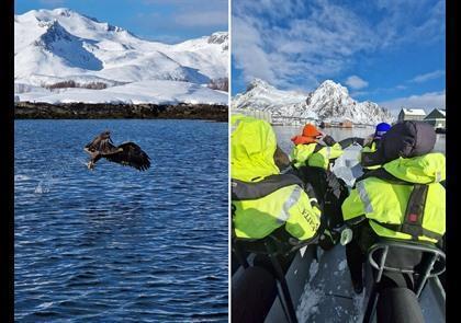 Groepsreis 7-daagse rondreis Lofoten