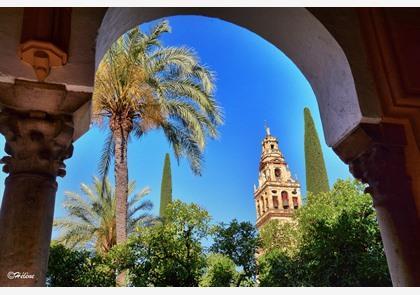 Groepsreis Andalusië: 7 dagen Sevilla, Cordoba en Granada