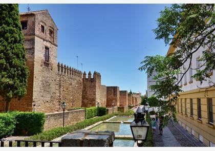 Groepsreis Andalusië: 7 dagen Sevilla, Cordoba en Granada