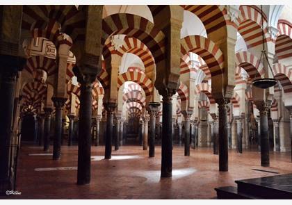 Groepsreis Andalusië: 7 dagen Sevilla, Cordoba en Granada