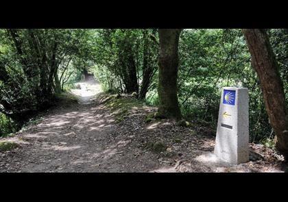 Groepsreis 8-daagse vliegvakantie Compostela - Fisterra (Finisterre)