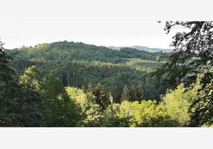 Groepsreis 4-daagse wandelvakantie Vulkaaneifel