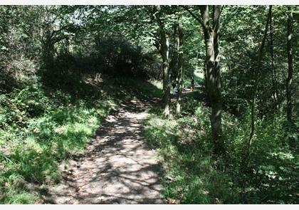 Groepsreis 4-daagse wandelvakantie Vulkaaneifel