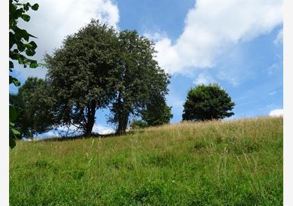 Groepsreis 4-daagse wandelvakantie Vulkaaneifel