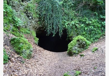 Groepsreis 4-daagse wandelvakantie Vulkaaneifel