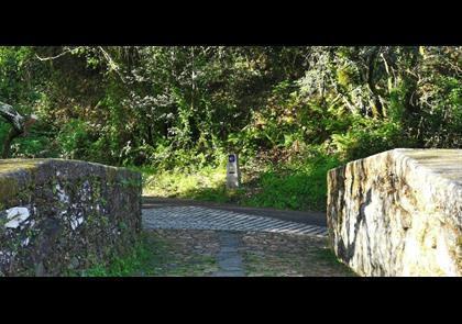 Groepsreis 9-daagse wandelvakantie Camino Inglés naar Compostela